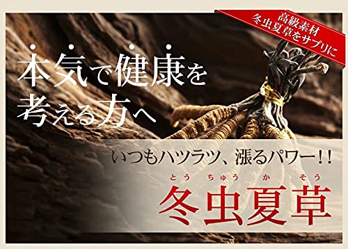 【8袋@1025 計8150】冬虫夏草★シードコムス Amazon | シードコムス 冬虫夏草 サプリメント 約1ヶ月分 30粒