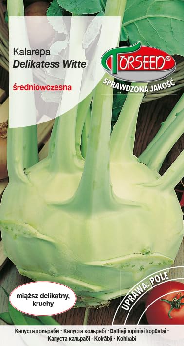 Verdica Delicado Indulgencia Semillas de colinabo Brassica oleracea – Maduración Media-temprana, Textura crujiente, Abundante cosecha de verano y otoño, cultivo sencillo y versátil (2 gramos)