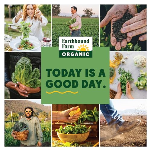 Earthbound Farm Organic Vegetable Tray With Ranch Dip, 36 Oz - Image 4