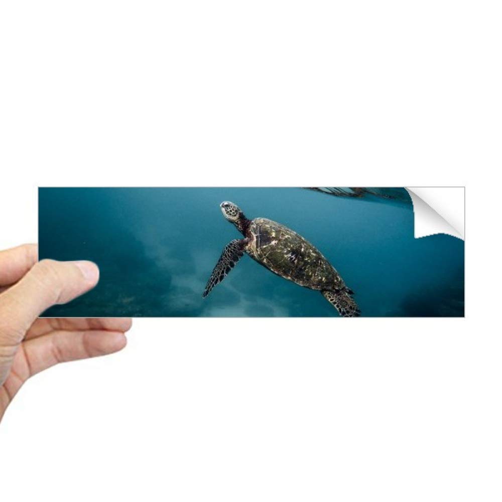 Sticker rectangulaire pour fenêtre tortue de mer autocollant vitrage ocean