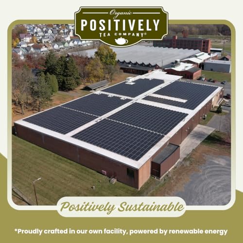 image for Organic Positively Tea Company, Minty Mate, yerba Mate Tea Bags, 100 C