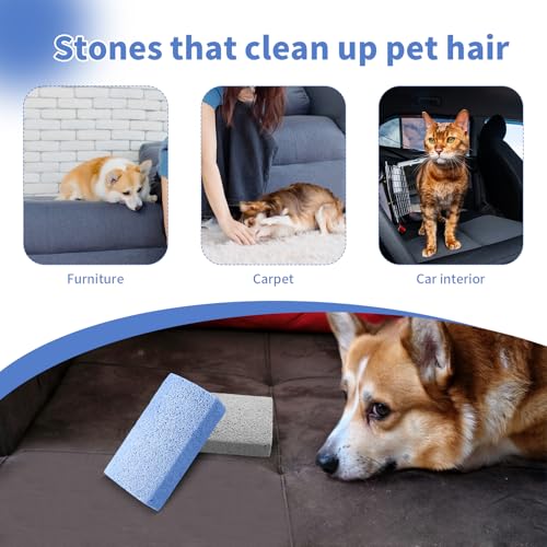 CVASNF 4 Stück Trimmstein für Hunde, Bimsstein Hund Trimmen Haustier Bimsstein Fußpflege Pumice Stone Haarentfernung Tierhaare Hornhautentferner Werkzeug für Couch Möbel Bettwäsc