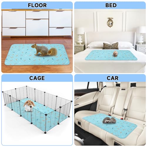 Image of Sunheir Washable Pee Pads for Small Pet 5-Pack, Reusable Pet Training Pads Absorbent & Leak-Free, Waterproof Pee Pads for Dog Cat Rabbit Guinea Pig Hamster, Whelping Pad (Leaves - Sky Blue, 12x12)