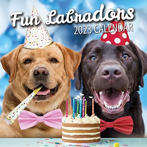Fun Labradors Wall Calendar 2023 - Large Family Planner & Daily Organiser with Monthly Labrador Image - Dog Lover Gift, Christmas Stocking Filler & Slim Design 2023 Wall Planner