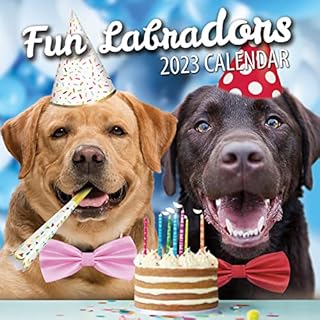 Fun Labradors Wall Calendar 2023 - Large Family Planner & Daily Organiser with Monthly Labrador Image - Dog Lover Gift, Christmas Stocking Filler & Slim Design 2023 Wall Planner