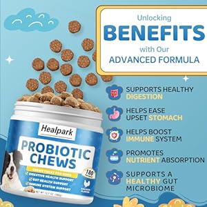 Probiotics for Dogs  Dog Probiotics and Digestive Enzymes for Gut Health Itchy Skin Allergies Immunity Yeast Balance  Prebiotics  Reduce Diarrhea Gas  180 Probiotic Chews Supplement for Dogs  Cucciolini Doodles Probiotics for dogs  dog probiotics and digestive enzymes for gut health itchy skin allergies immunity yeast balance  prebiotics  reduce diarrhea gas  180 probiotic chews supplement for dogs   cucciolini doodles