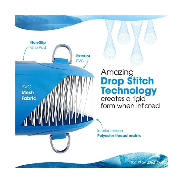 Dog on Water Ramp for Boat, Dock, or Pool