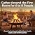 Sunnydaze 30-Inch Cast Iron Heavy-Duty Fire Pit for Outside - Wood-Burning Outdoor Fire Pit Bowl with Handles - Steel Finish