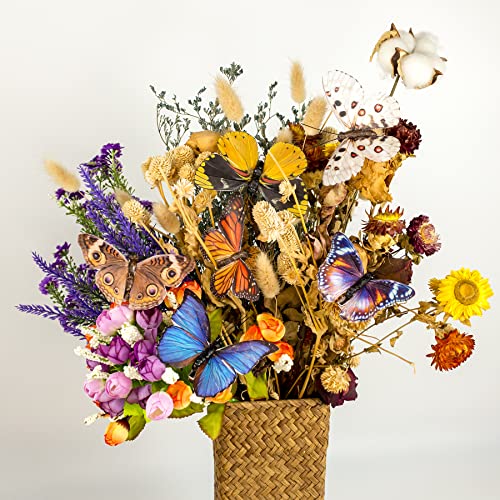 YCHTEWY - Image 2