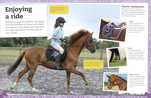 My Book of Horses and Ponies: A Fact-Filled Guide to Your Equine Friends - Image 3