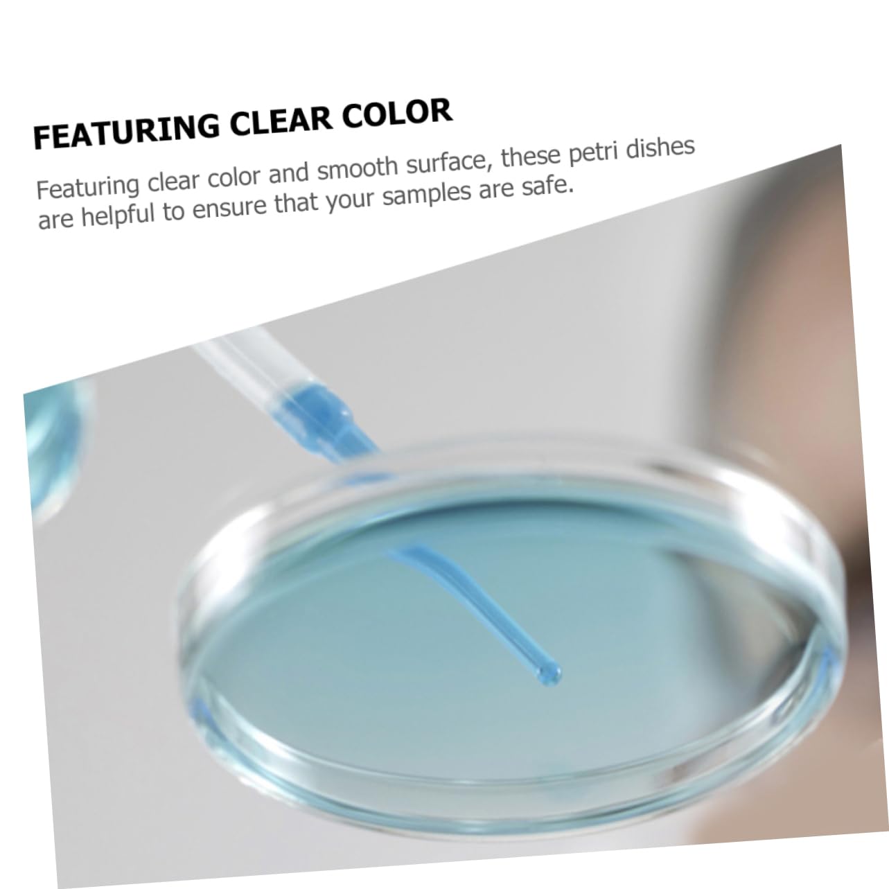 Mobestech 50pezzi Piastre Di Coltura Plastica Con Coperchio Piastre Petri Trasparenti Per Esperimenti Scientifici e Coltura Cellulare Per Laboratori e Insegnamento
