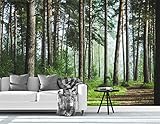 Bormia Forest Landscape Wall Mural - 151x105 WALLPAPER - Fresh Green Trees and Road Wall Decor