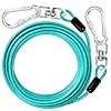 jenico Dog Tie Out Cable: 10 ft Dog Lead for Yard – Heavy Duty Chain Leash Outside for Small Large Dogs Up to 500 lbs – Outdoor Dog Runner Tether