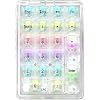Numeric Keypad, 21 Key Mechanical Keyboard with Transparent Switch and Key Cap, USB-C/Bluetooth/2.4G Numeric Keypad Crystal Switch, RGB Backlit