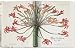 Imagen de Redouté. El libro de las flores