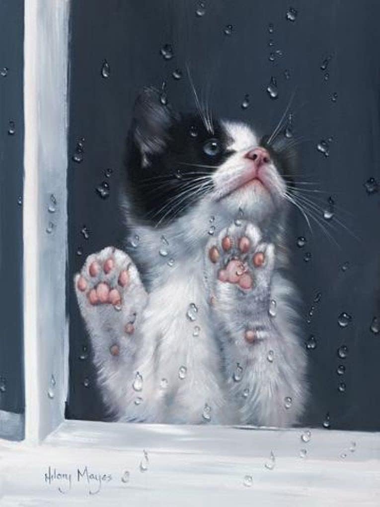 McGaw Graphics Kitten, Hilary Mayes, Art Print Poster, Paper Size 14" x 11" Image Size 12" x 9"
