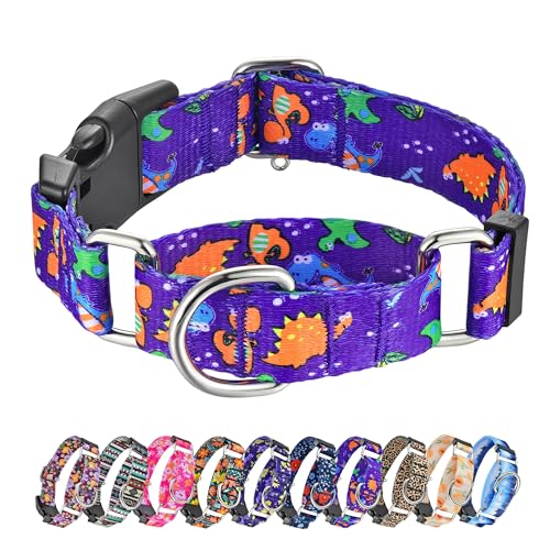 Hikiko Collar Martingale para perros, lindo collar de dinosaurio para perros pequeños, medianos y grandes, cómodos collares de nailon divertidos para perros (dinosaurio, mediano)
