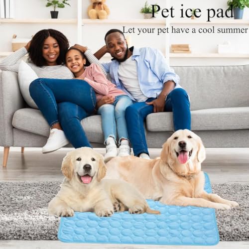 OUYULAI Kühlmatte für Hunde und Katzen, Selbstkühlende Hundematte, Ungiftig Kühlkissen für Haustiere, Waschbar Hund Kältematte für Drinnen, Draußen und Auto, Blau,60 * 50cm