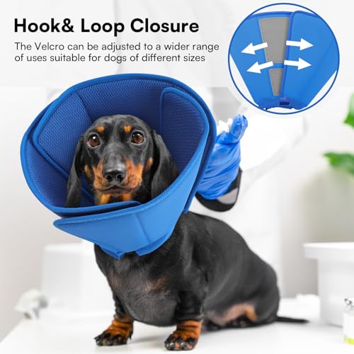 Image of Queenmore Soft Dog Cone for Small Dogs, Adjustable Comfy Dog Cone Collar | Cones Collar Alternative for Post-Surgery Wound Healing, Soft Fabric Cone for Dogs to Stop Licking After Surgery, Blue,S