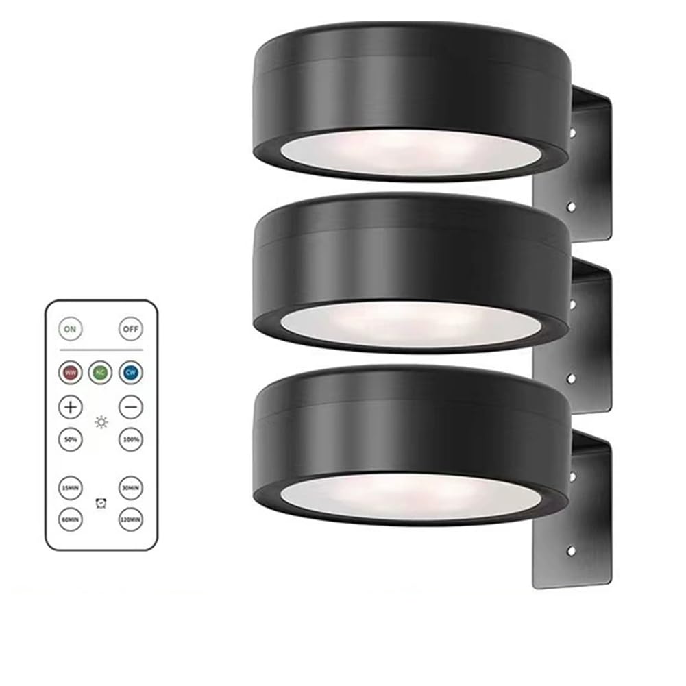 CTRLZS Remote Control Dimmable Timer Battery Operated Light 3Pcs Magnetic Led Painting Art Display Light 3 Lighting Modes