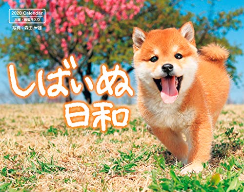 オライリー 無料電子書籍 しばいぬ日和 (インプレスカレンダー2020) バイ