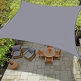 Spinosaurus Outdoor Waterproof Sun Shade Sail Canopy Rectangle UV Block for Patio and Garden,Backyard Lawn (10'X10', Gray)