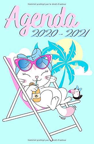 Télécharger Agenda 2020 - 2021: Agenda scolaire journalier - Chat kawaii - Collège et Lycée PDF