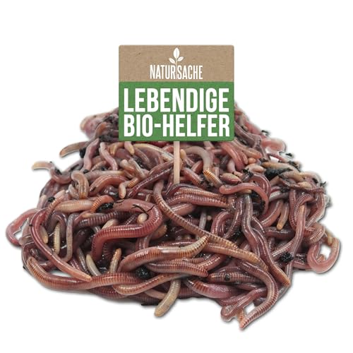 Natursache Kompostwurm-Mix 500 STK./Sack + E-Book I Mit 3 Arten lebenden Kompostwürmer I Für eine schnelle & nachhaltige Kompostierung in...