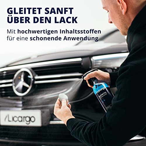LICARGO® Reinigungsknete Set - Tiefenglanz für Deinen Lack - 100g Lackknete, 500ml Gleitmittel - Reinigungsknete Auto für porentiefe Reinheit - Clay Bar Auto, Auto Knete, Lack Knete
