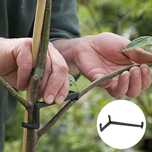 20 Stück Astspreizer für Obstzweige, Hohe Härte, Druckfester Kunststoff, Baumstütze, Gartenarbeit, Schwarz