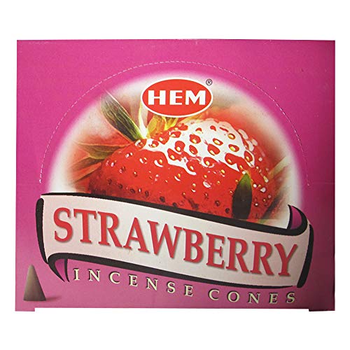 Strawberry Incense Cones And Cone Incense Burner Bundle Insence Insense Hem Incense #TOP1