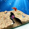 Aquarium Cave Hideout, 3D Printed Natural Decoration, Aquarium Decor, 360 Viewing Fish Tank Tunnel Hideout for Betta, Shrimp, Corydora, Guppy, Zebrafish (Black, s)