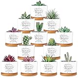 Seewey 12 Pcs Inspirational Succulent Pots Thank You Gift Bulk for Women Employee Teacher Coworker Sometimes You Forget You're Awesome Small Ceramic Plant with Bamboo Trays for Office Staff Graduation