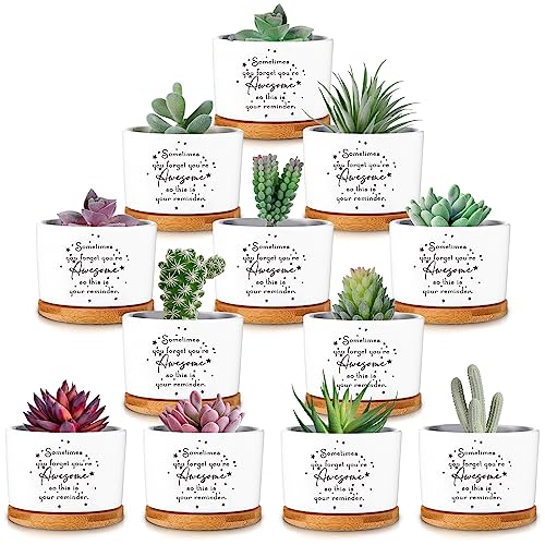 Seewey 12 Pcs Inspirational Succulent Pots Thank You Gift Bulk for Women Employee Teacher Coworker Sometimes You Forget You're Awesome Small Ceramic Plant with Bamboo Trays for Office Staff Graduation