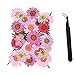 AQUEENLY Dried Pressed Flowers, Real Daisy, Larkspur, Hydrangea Macrophylla, Lace Flower, Artemisia Carvifolia Leaf and Fern Leaf with Tweezer for Art, DIY, Craft
