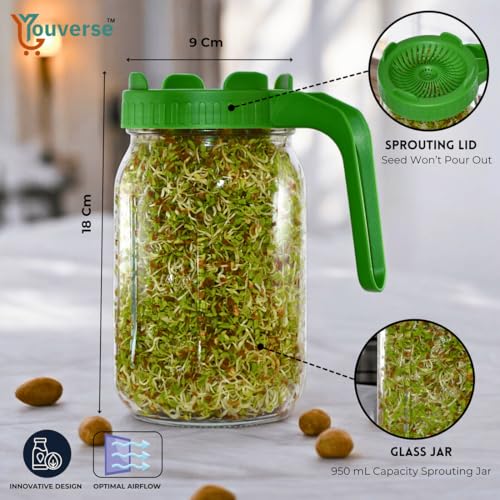 Image of Sprouts Maker Glass Jar - 950ml Large Sprouts Maker Jar for Home Use | BPA-Free Sprouting Jar with Drain Lid Handle | Airflow, Odor-Free, Easy Drainage, and Hygienic Glass Design (Green)