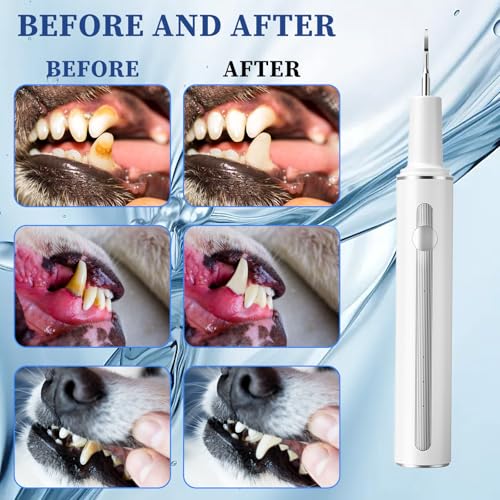 Pet Tooth Brushing Kit, Remover for Teeth Dog, Plaque Remover Safe for Dogs and Cats, 3 Modes, Pet Tooth Cleaner Dental Care Tartar Plaque Remover with LED Light (White)