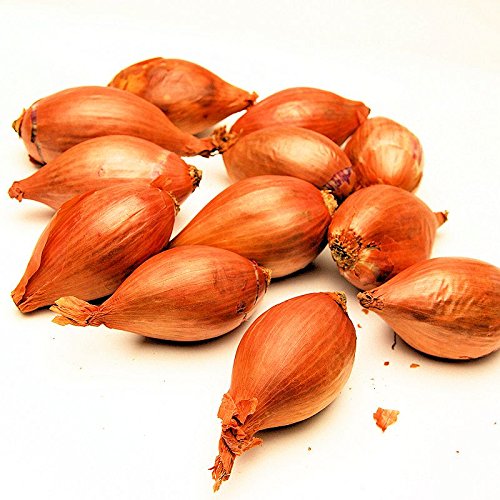 Amazon.co.jp: フランスの野菜通年 エシャロットフランス産約1Kg