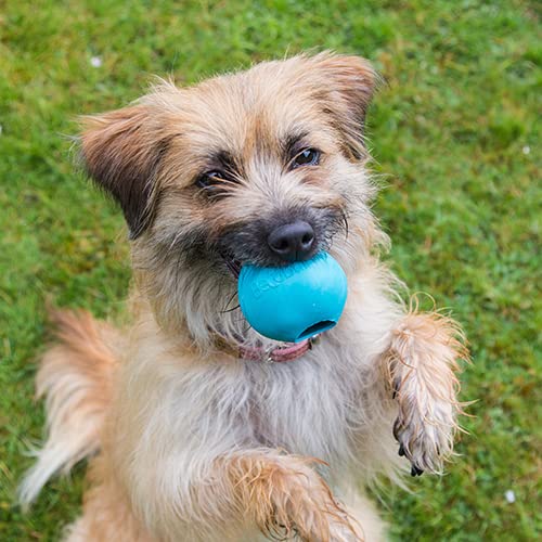 BecoThings Hundespielzeug Ball, L, blau