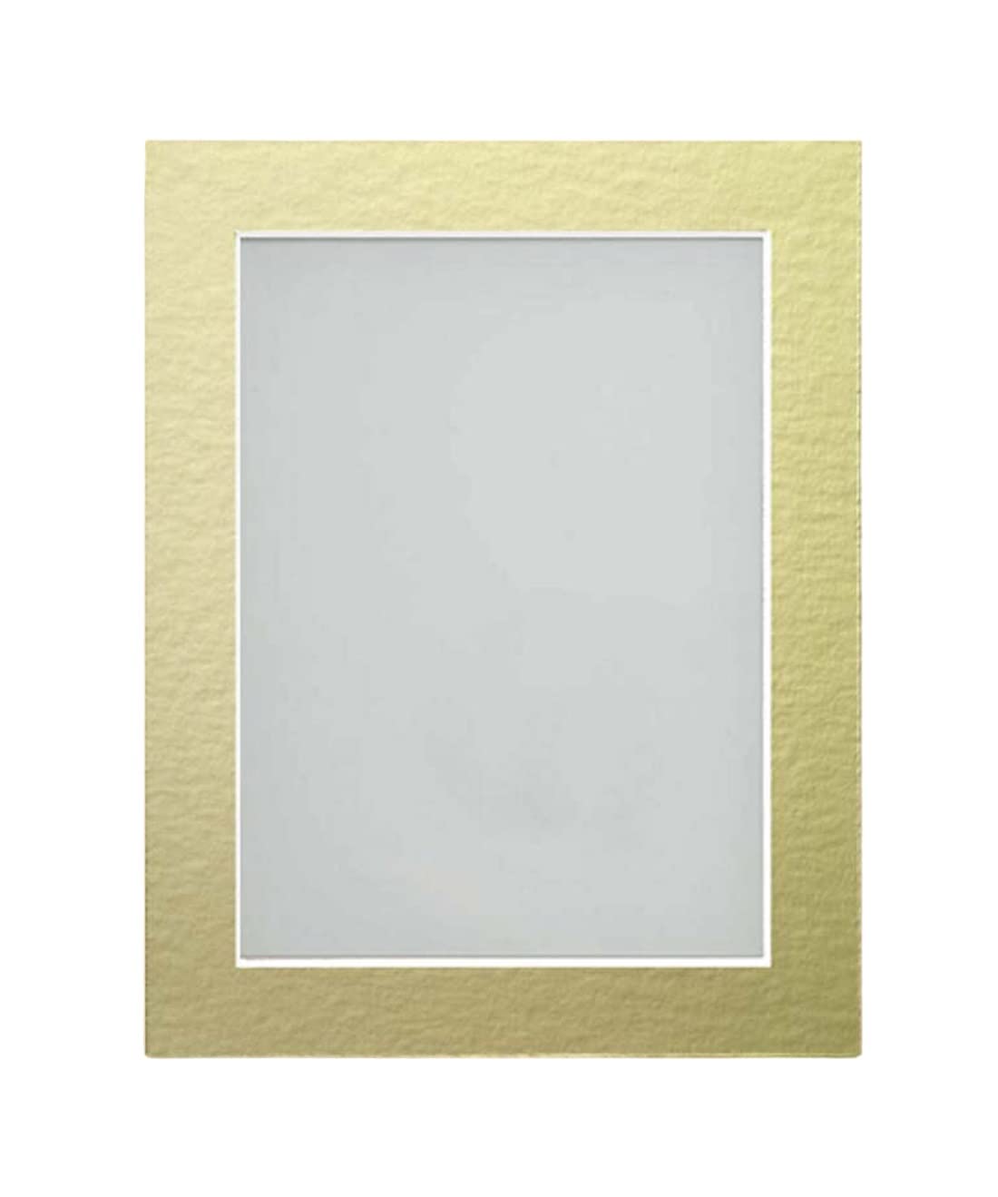 Frame Company Watson Rustic Picture Photo Frame fitted with Perspex, 20x16 inch with Gold Mount for image size 15x10 inch