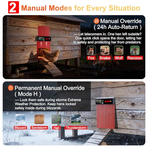 Automatic Chicken Coop Door Solar
