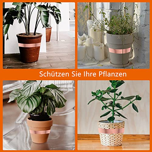 Schneckenzaun Panngu mit Kupferband zum Schutz vor Schnecken