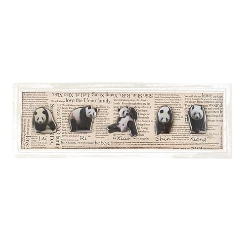 Panda Himself Festival Ueno Family Complete Pin Batch Set/Ueno Matsuzakaya Ueno Zoo Shang Shan