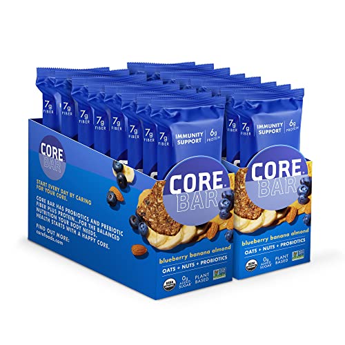 CORE Organic Refrigerated Plant-Based Protein Bars – Low Sugar, High Fiber Bars with Probiotics – Pack of 16, Blueberry Banana Almond