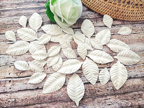 HukDok Hojas rosas, flores, morera, papel para manualidades, hojas, flores artificiales, hojas recortadas, papel para álbumes de recortes, boda, casa de muñecas, tarjetas, suministros (blanco)