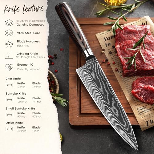 Wakoli ESE 4-częściowy zestaw noży damasceńskich, profesjonalne noże szefa kuchni, 67-warstwowa stal rdzeniowa VG10, Santoku, Chef, mały nóż Santoku i nóż biurowy, ergonomiczne uchwyty pakkawood