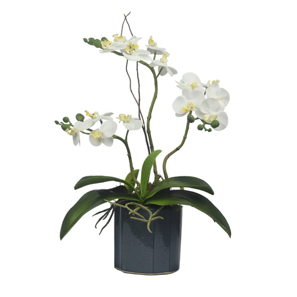 Orchidée phalaenopsis artificielle en soie haut de gamme