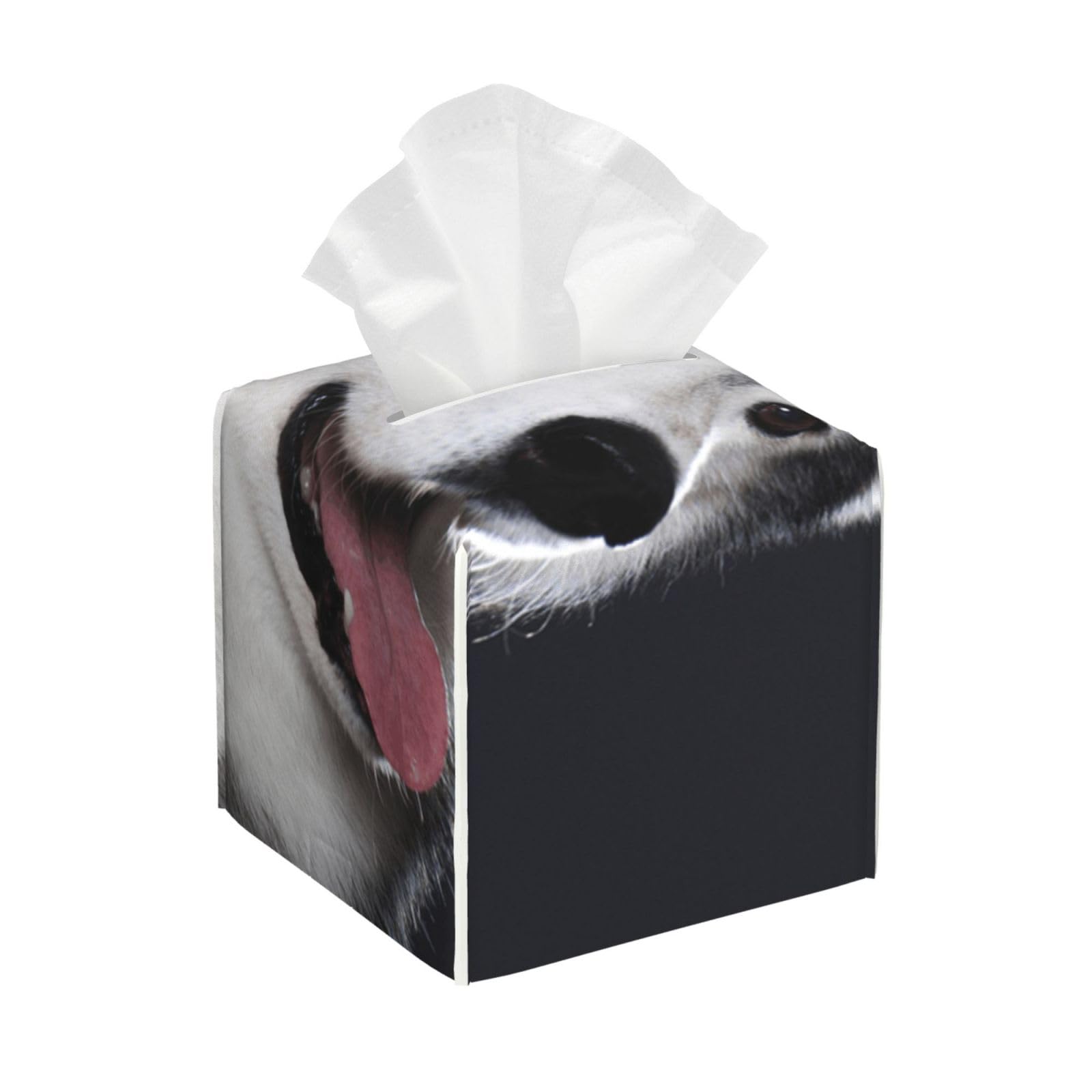 Beautiful Siberian Husky Dog Square Tissue Box Cover with Modern and Stylish Bottom Tissue Box Storage Space