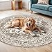 TOPRUUG Washable Oriental Area Rug - 6ft Round Rugs for Living Room Soft Carpet for Bedroom Waterproof Floral Distressed Indoor Stain Resistant Non-Shedding Floor Carpets (Beige, 6ft-Round)