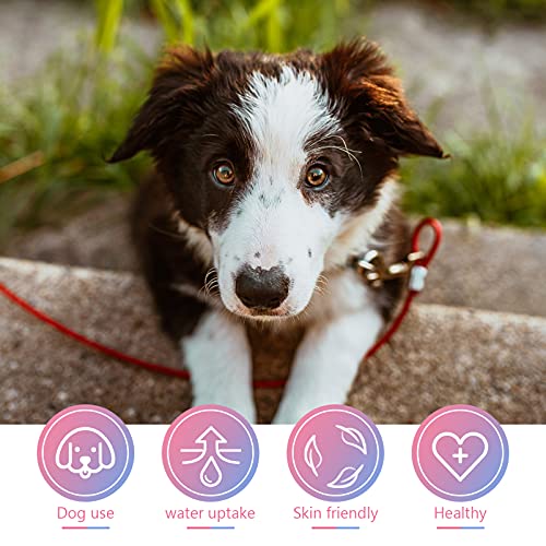 POPETPOP Fraldas Descartáveis ​​ Cães Fêmeas: 12 Fraldas Descartáveis ​​Macias Cães Superabsorventes